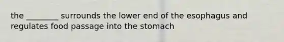 the ________ surrounds the lower end of the esophagus and regulates food passage into the stomach