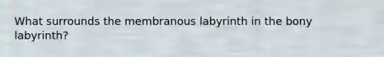 What surrounds the membranous labyrinth in the bony labyrinth?