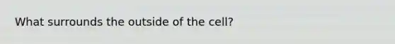 What surrounds the outside of the cell?