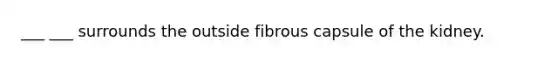 ___ ___ surrounds the outside fibrous capsule of the kidney.