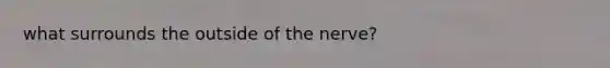 what surrounds the outside of the nerve?