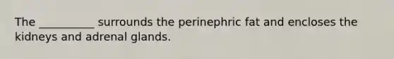 The __________ surrounds the perinephric fat and encloses the kidneys and adrenal glands.