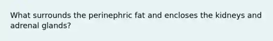 What surrounds the perinephric fat and encloses the kidneys and adrenal glands?