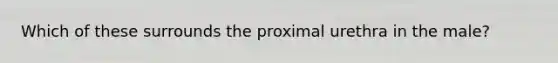 Which of these surrounds the proximal urethra in the male?