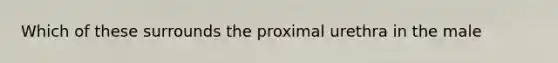 Which of these surrounds the proximal urethra in the male
