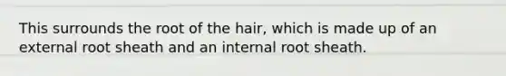 This surrounds the root of the hair, which is made up of an external root sheath and an internal root sheath.