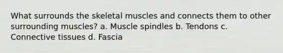 What surrounds the skeletal muscles and connects them to other surrounding muscles? a. Muscle spindles b. Tendons c. Connective tissues d. Fascia