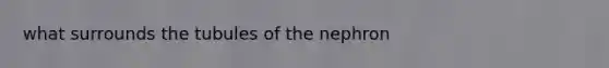 what surrounds the tubules of the nephron