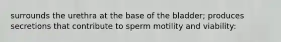 surrounds the urethra at the base of the bladder; produces secretions that contribute to sperm motility and viability: