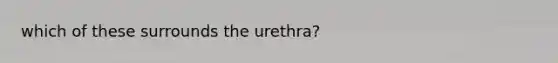 which of these surrounds the urethra?