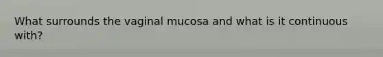 What surrounds the vaginal mucosa and what is it continuous with?