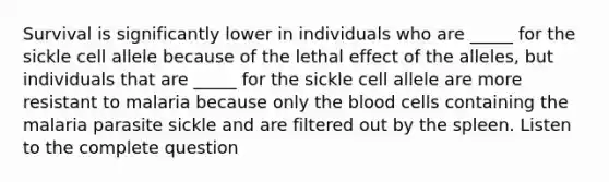 Survival is significantly lower in individuals who are _____ for the sickle cell allele because of the lethal effect of the alleles, but individuals that are _____ for the sickle cell allele are more resistant to malaria because only the blood cells containing the malaria parasite sickle and are filtered out by the spleen. Listen to the complete question