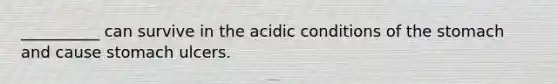 __________ can survive in the acidic conditions of the stomach and cause stomach ulcers.