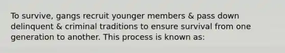 To survive, gangs recruit younger members & pass down delinquent & criminal traditions to ensure survival from one generation to another. This process is known as: