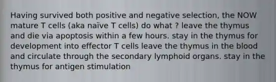 Having survived both positive and negative selection, the NOW mature T cells (aka naïve T cells) do what ? leave the thymus and die via apoptosis within a few hours. stay in the thymus for development into effector T cells leave the thymus in the blood and circulate through the secondary lymphoid organs. stay in the thymus for antigen stimulation