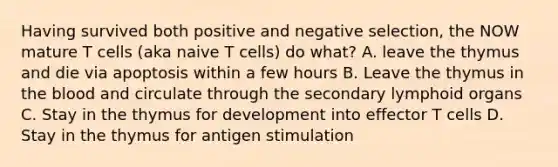 Having survived both positive and negative selection, the NOW mature T cells (aka naive T cells) do what? A. leave the thymus and die via apoptosis within a few hours B. Leave the thymus in the blood and circulate through the secondary lymphoid organs C. Stay in the thymus for development into effector T cells D. Stay in the thymus for antigen stimulation