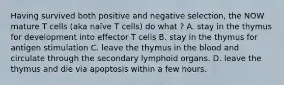 Having survived both positive and negative selection, the NOW mature T cells (aka naïve T cells) do what ? A. stay in the thymus for development into effector T cells B. stay in the thymus for antigen stimulation C. leave the thymus in the blood and circulate through the secondary lymphoid organs. D. leave the thymus and die via apoptosis within a few hours.