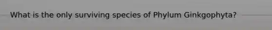 What is the only surviving species of Phylum Ginkgophyta?