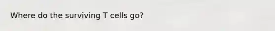 Where do the surviving T cells go?