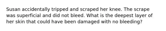 Susan accidentally tripped and scraped her knee. The scrape was superficial and did not bleed. What is the deepest layer of her skin that could have been damaged with no bleeding?