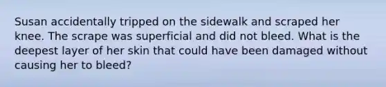 Susan accidentally tripped on the sidewalk and scraped her knee. The scrape was superficial and did not bleed. What is the deepest layer of her skin that could have been damaged without causing her to bleed?