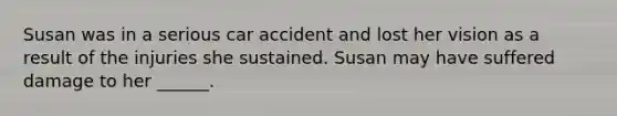 Susan was in a serious car accident and lost her vision as a result of the injuries she sustained. Susan may have suffered damage to her ______.