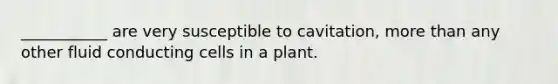 ___________ are very susceptible to cavitation, more than any other fluid conducting cells in a plant.