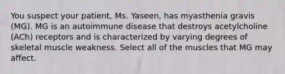 You suspect your patient, Ms. Yaseen, has myasthenia gravis (MG). MG is an autoimmune disease that destroys acetylcholine (ACh) receptors and is characterized by varying degrees of skeletal muscle weakness. Select all of the muscles that MG may affect.