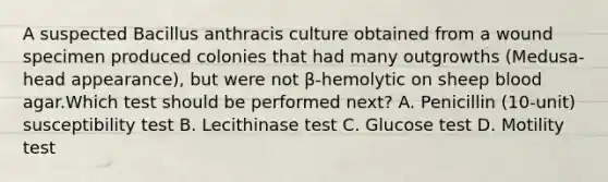 A suspected Bacillus anthracis culture obtained from a wound specimen produced colonies that had many outgrowths (Medusa-head appearance), but were not β-hemolytic on sheep blood agar.Which test should be performed next? A. Penicillin (10-unit) susceptibility test B. Lecithinase test C. Glucose test D. Motility test