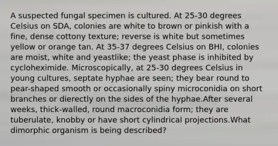 A suspected fungal specimen is cultured. At 25-30 degrees Celsius on SDA, colonies are white to brown or pinkish with a fine, dense cottony texture; reverse is white but sometimes yellow or orange tan. At 35-37 degrees Celsius on BHI, colonies are moist, white and yeastlike; the yeast phase is inhibited by cycloheximide. Microscopically, at 25-30 degrees Celsius in young cultures, septate hyphae are seen; they bear round to pear-shaped smooth or occasionally spiny microconidia on short branches or dierectly on the sides of the hyphae.After several weeks, thick-walled, round macroconidia form; they are tuberulate, knobby or have short cylindrical projections.What dimorphic organism is being described?