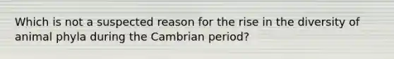 Which is not a suspected reason for the rise in the diversity of animal phyla during the Cambrian period?