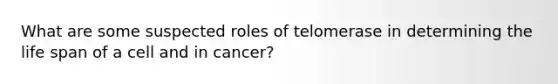 What are some suspected roles of telomerase in determining the life span of a cell and in cancer?