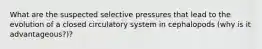 What are the suspected selective pressures that lead to the evolution of a closed circulatory system in cephalopods (why is it advantageous?)?