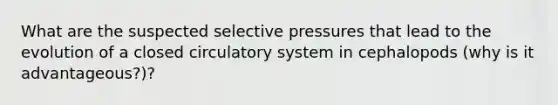 What are the suspected selective pressures that lead to the evolution of a closed circulatory system in cephalopods (why is it advantageous?)?