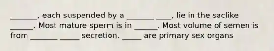 _______, each suspended by a _______ ____, lie in the saclike ______. Most mature sperm is in ______. Most volume of semen is from _______ _____ secretion. _____ are primary sex organs