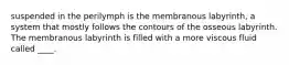 suspended in the perilymph is the membranous labyrinth, a system that mostly follows the contours of the osseous labyrinth. The membranous labyrinth is filled with a more viscous fluid called ____.