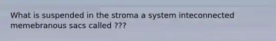 What is suspended in the stroma a system inteconnected memebranous sacs called ???