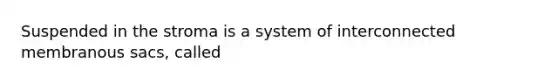 Suspended in the stroma is a system of interconnected membranous sacs, called