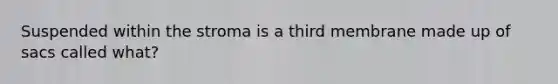 Suspended within the stroma is a third membrane made up of sacs called what?