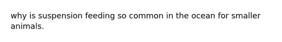 why is suspension feeding so common in the ocean for smaller animals.