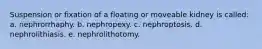 Suspension or fixation of a floating or moveable kidney is called: a. nephrorrhaphy. b. nephropexy. c. nephroptosis. d. nephrolithiasis. e. nephrolithotomy.