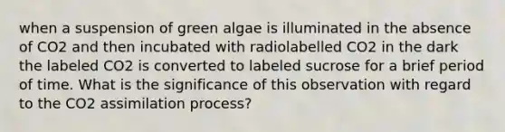 when a suspension of green algae is illuminated in the absence of CO2 and then incubated with radiolabelled CO2 in the dark the labeled CO2 is converted to labeled sucrose for a brief period of time. What is the significance of this observation with regard to the CO2 assimilation process?