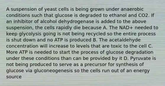 A suspension of yeast cells is being grown under anaerobic conditions such that glucose is degraded to ethanol and CO2. If an inhibitor of alcohol dehydrogenase is added to the above suspension, the cells rapidly die because A. The NAD+ needed to keep glycolysis going is not being recycled so the entire process is shut down and no ATP is produced B. The acetaldehyde concentration will increase to levels that are toxic to the cell C. More ATP is needed to start the process of glucose degradation under these conditions than can be provided by it D. Pyruvate is not being produced to serve as a precursor for synthesis of glucose via gluconeogenesis so the cells run out of an energy source