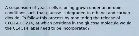 A suspension of yeast cells is being grown under anaerobic conditions such that glucose is degraded to ethanol and carbon dioxide. To follow this process by monitoring the release of CO214,CO214, at which positions in the glucose molecule would the C14C14 label need to be incorporated?