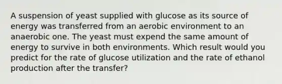 A suspension of yeast supplied with glucose as its source of energy was transferred from an aerobic environment to an anaerobic one. The yeast must expend the same amount of energy to survive in both environments. Which result would you predict for the rate of glucose utilization and the rate of ethanol production after the transfer?