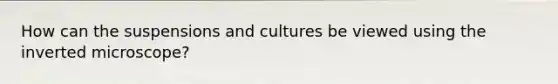 How can the suspensions and cultures be viewed using the inverted microscope?