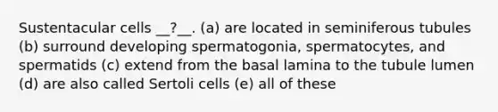 Sustentacular cells __?__. (a) are located in seminiferous tubules (b) surround developing spermatogonia, spermatocytes, and spermatids (c) extend from the basal lamina to the tubule lumen (d) are also called Sertoli cells (e) all of these