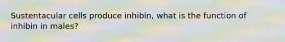 Sustentacular cells produce inhibin, what is the function of inhibin in males?