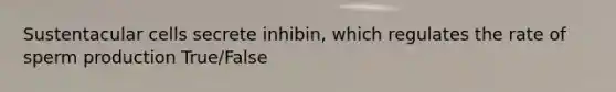Sustentacular cells secrete inhibin, which regulates the rate of sperm production True/False
