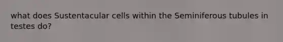 what does Sustentacular cells within the Seminiferous tubules in testes do?